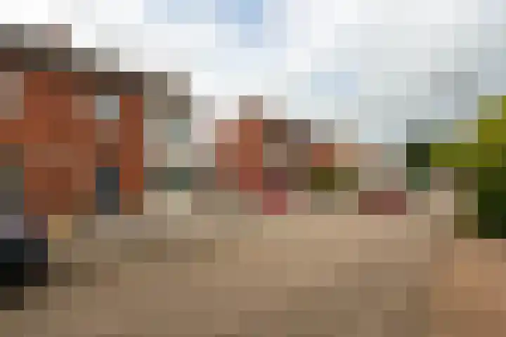 Pastoor de Witstraat 10 Putte thumbnail 35