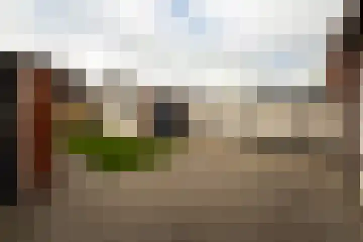 Pastoor de Witstraat 10 Putte thumbnail 4