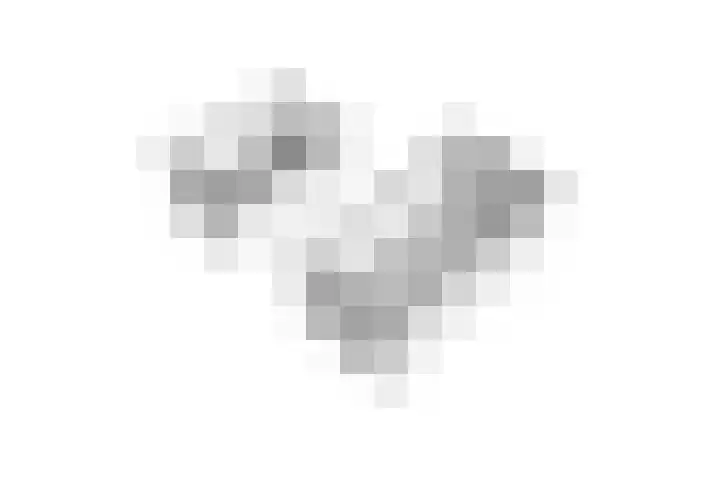 Pastoor de Witstraat 10 Putte thumbnail 43