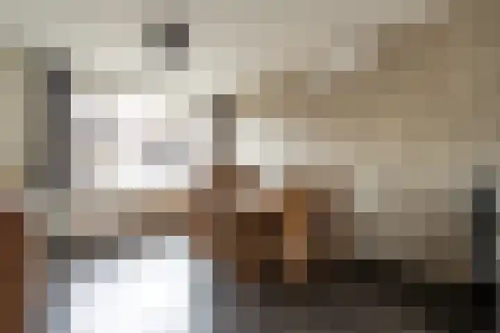 Pastoor de Witstraat 10 Putte thumbnail 9