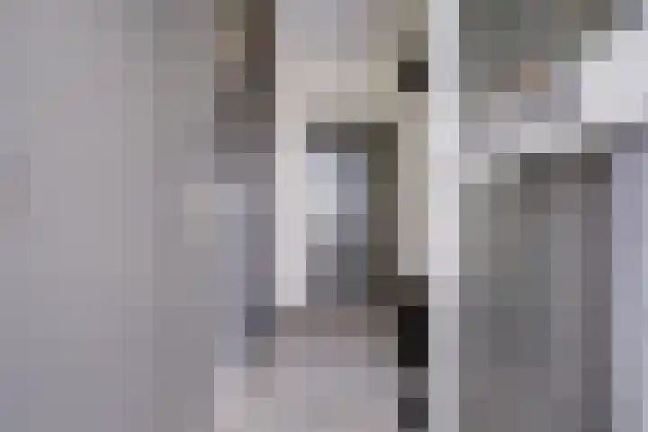 Pastoor de Witstraat 2 Putte thumbnail 13