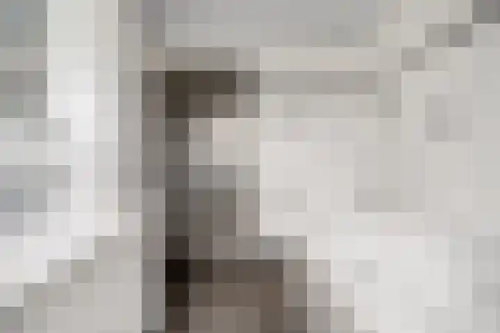 Pastoor de Witstraat 2 Putte thumbnail 20