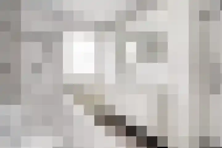 Pastoor de Witstraat 2 Putte thumbnail 21