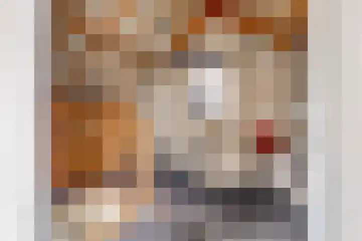 Pastoor de Witstraat 2 Putte thumbnail 22