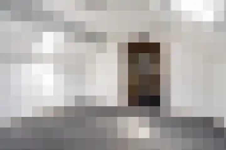Pastoor de Witstraat 2 Putte thumbnail 24