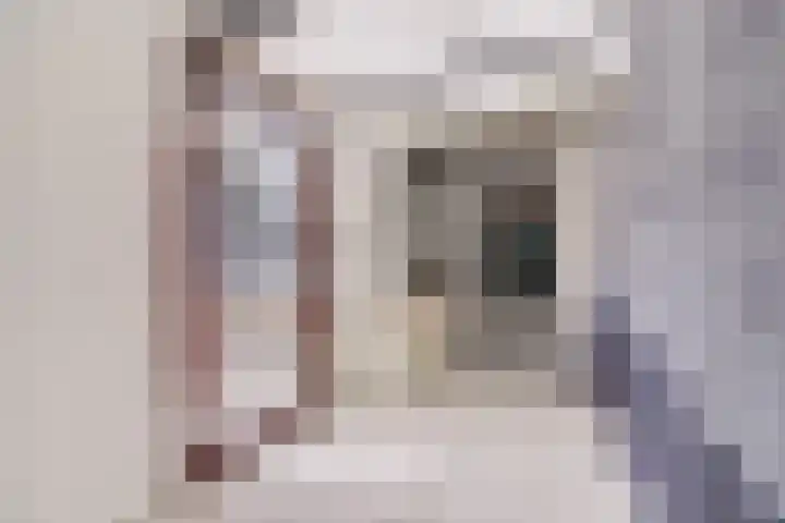 Pastoor de Witstraat 2 Putte thumbnail 25