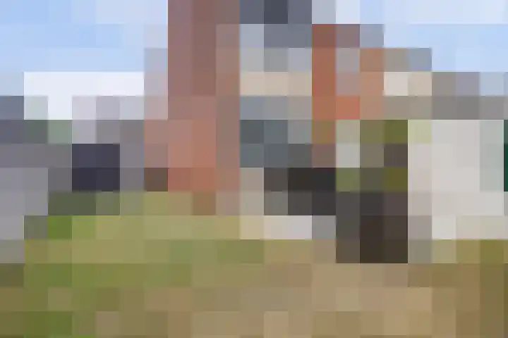 Pastoor de Witstraat 2 Putte thumbnail 26