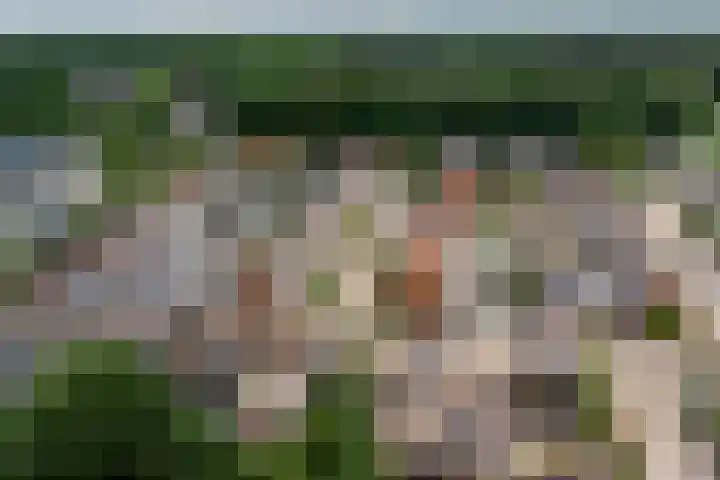 Pastoor de Witstraat 2 Putte thumbnail 28