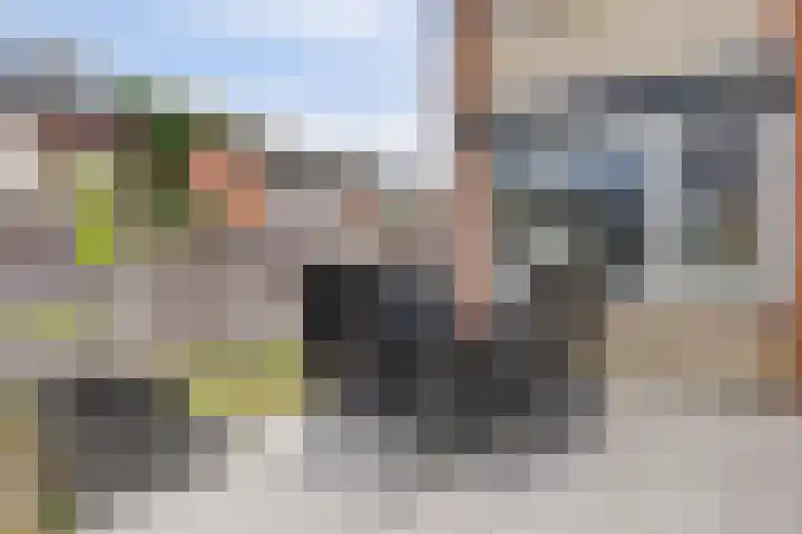 Pastoor de Witstraat 2 Putte thumbnail 31