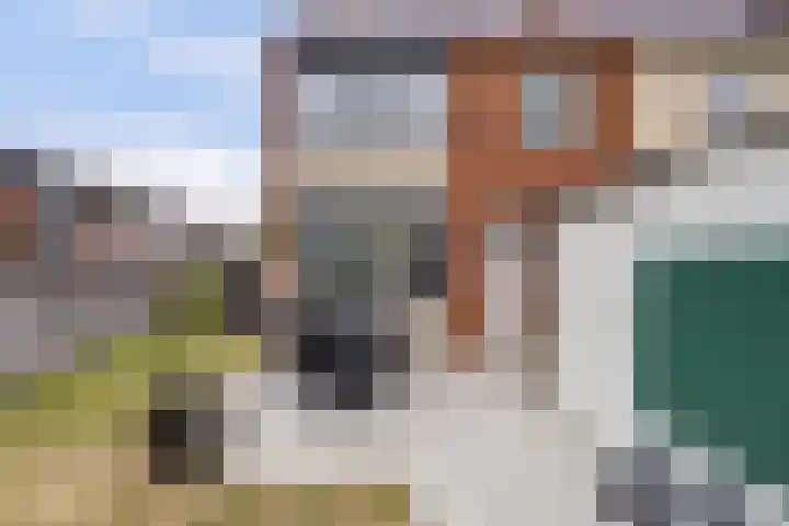 Pastoor de Witstraat 2 Putte thumbnail 34