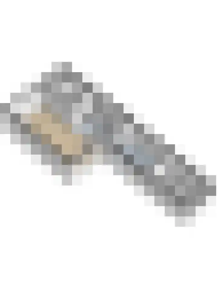 Pastoor de Witstraat 2 Putte thumbnail 38