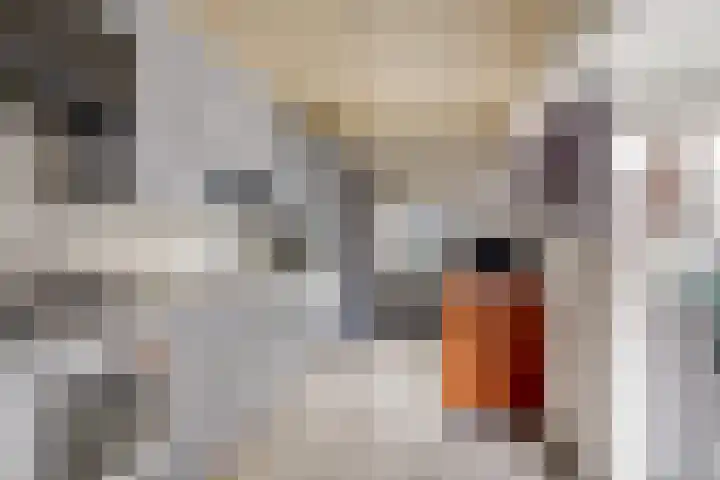 Pastoor de Witstraat 2 Putte thumbnail 4