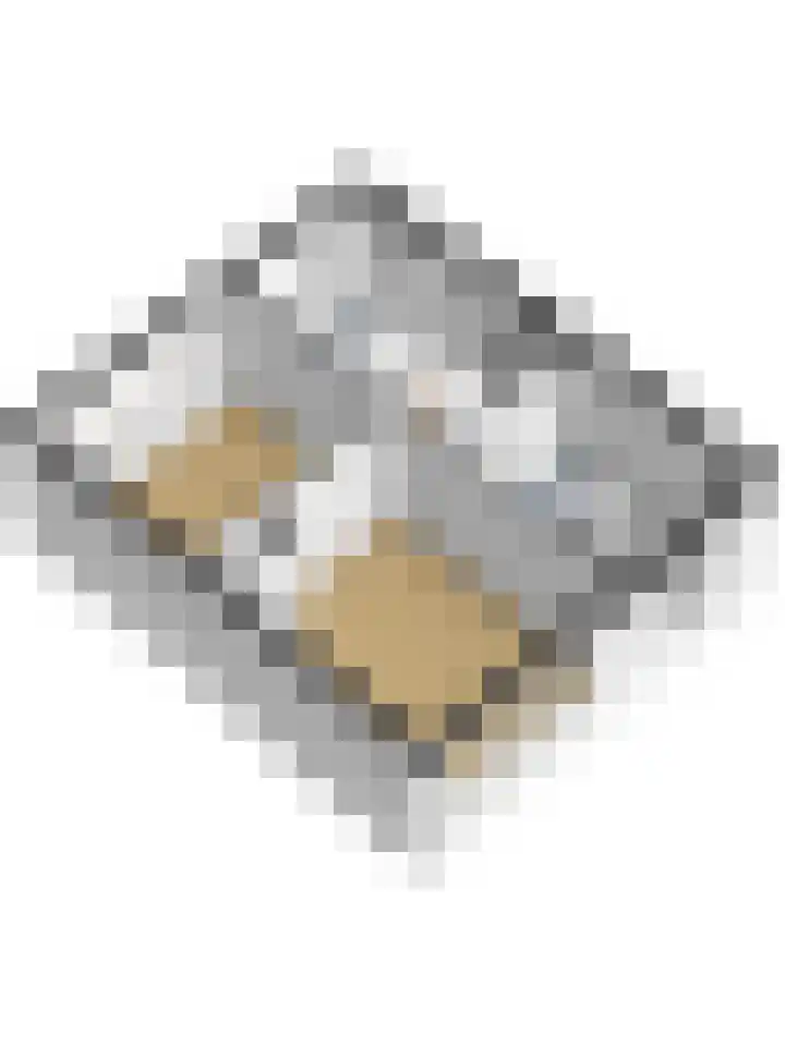 Pastoor de Witstraat 2 Putte thumbnail 40