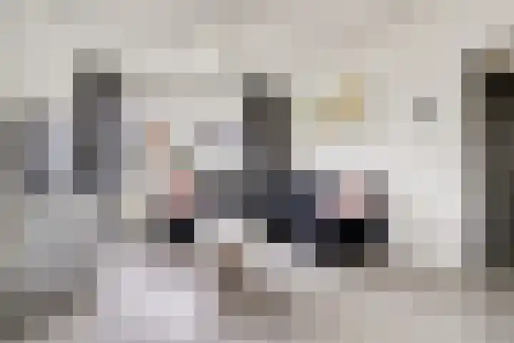 Pastoor de Witstraat 2 Putte thumbnail 5