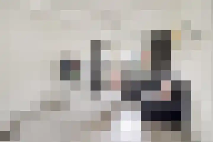Pastoor de Witstraat 2 Putte thumbnail 6