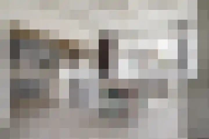 Pastoor de Witstraat 2 Putte thumbnail 7