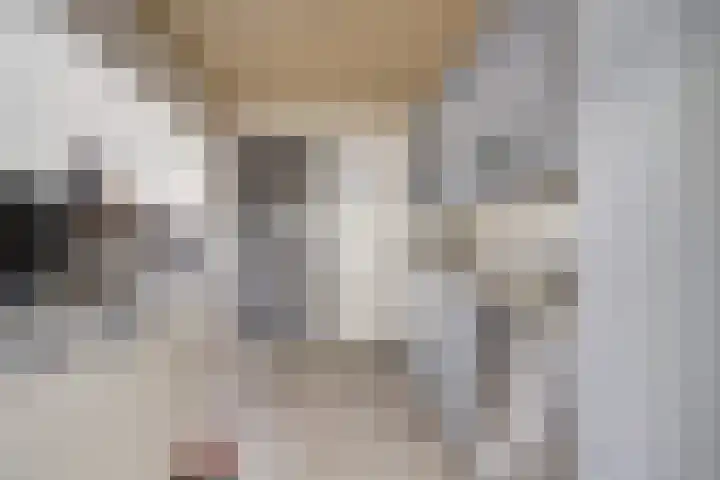 Pastoor de Witstraat 2 Putte thumbnail 8