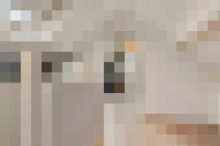 Pastoor de Witstraat 5 Oisterwijk thumbnail 34