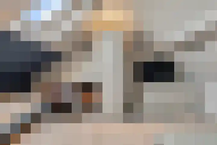 Pastoor de Witstraat 5 Oisterwijk thumbnail 35