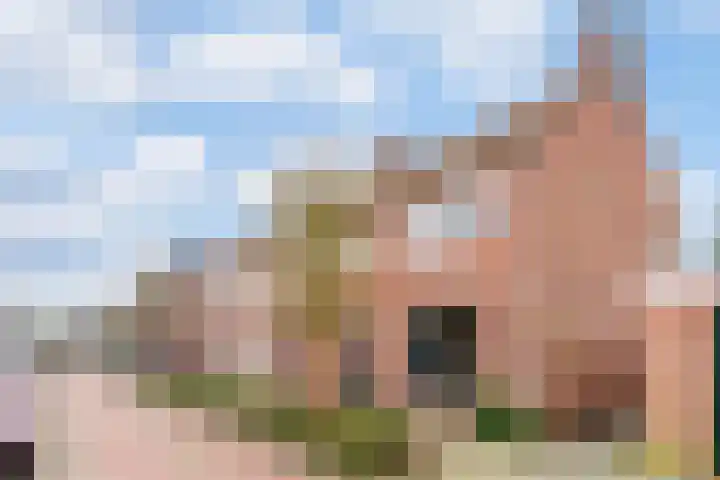 Pastoor de Witstraat 5 Oisterwijk thumbnail 43