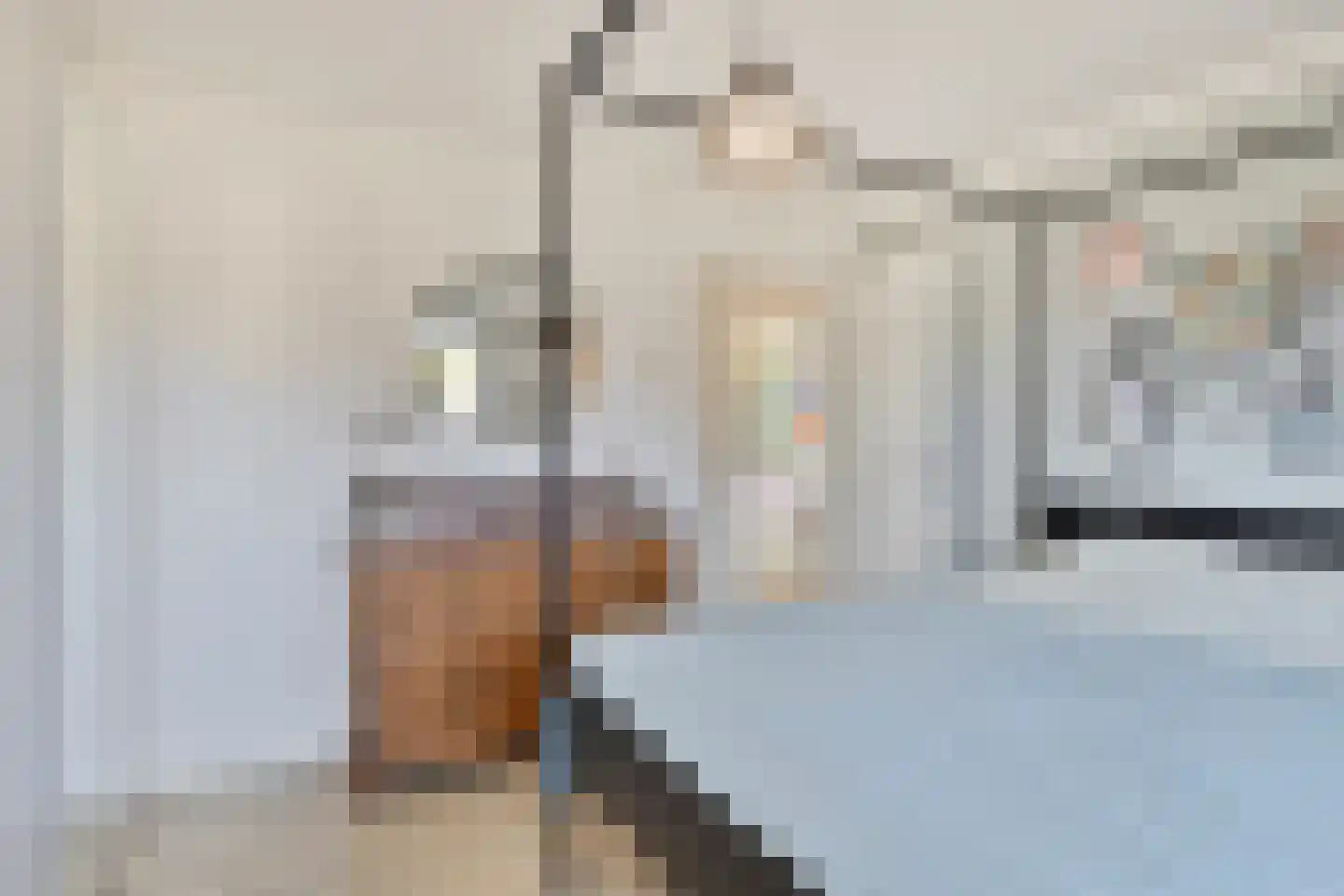 Pastoor Debetsstraat 3 Eijsden thumbnail 23