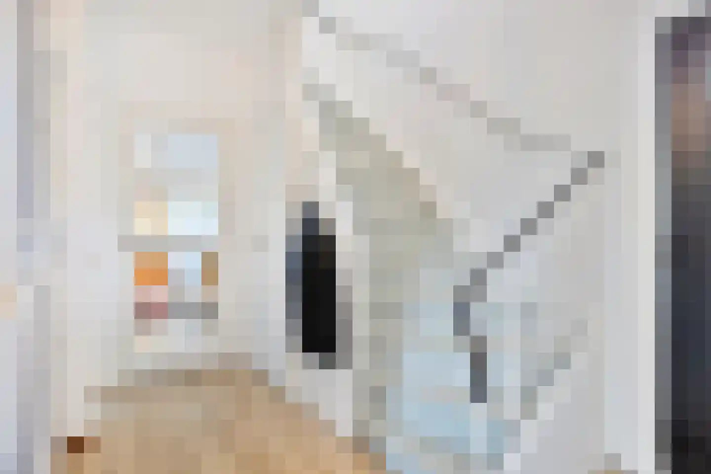 Pastoor Debetsstraat 3 Eijsden thumbnail 5