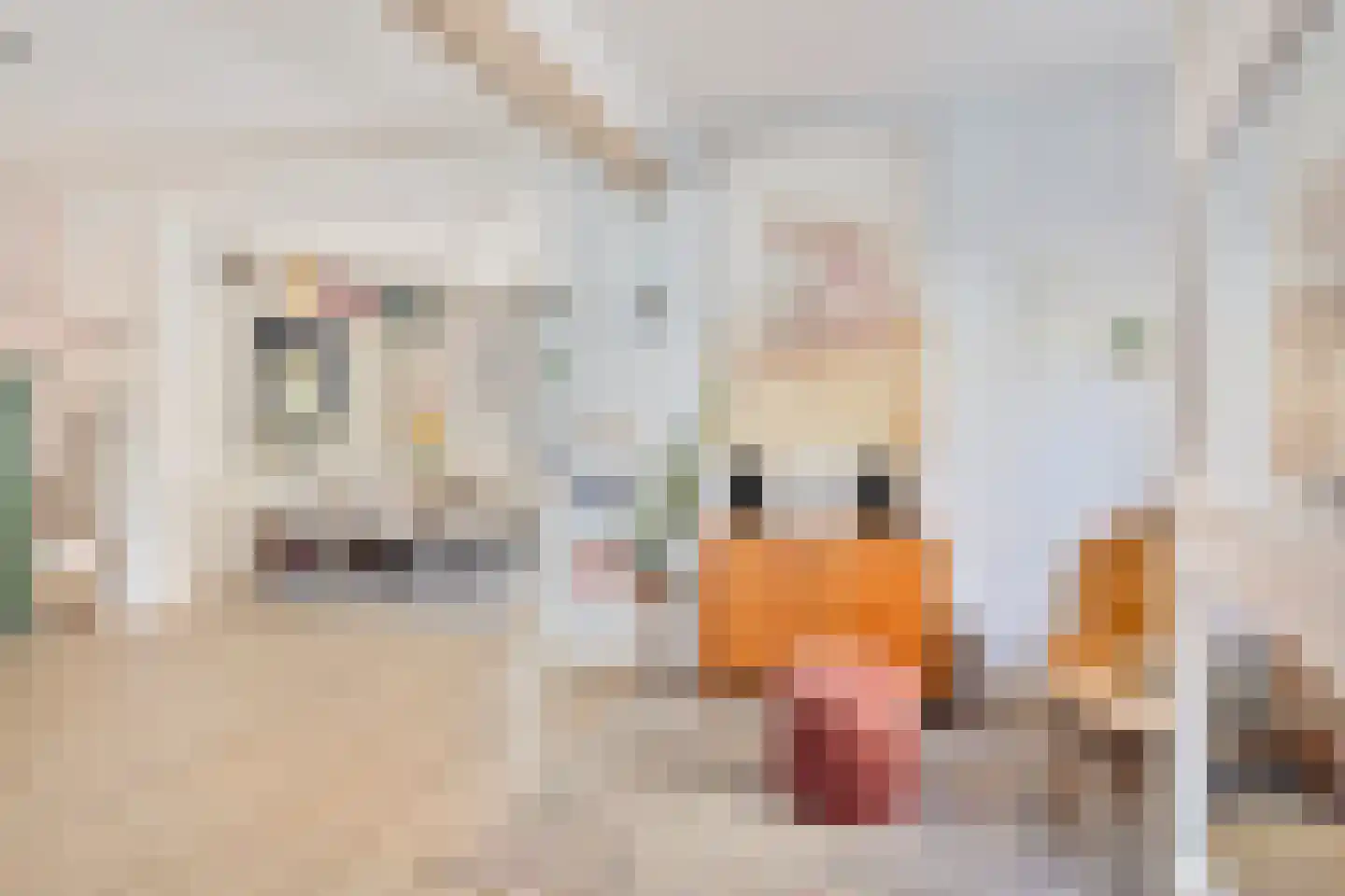 Pastoor Debetsstraat 3 Eijsden thumbnail 6