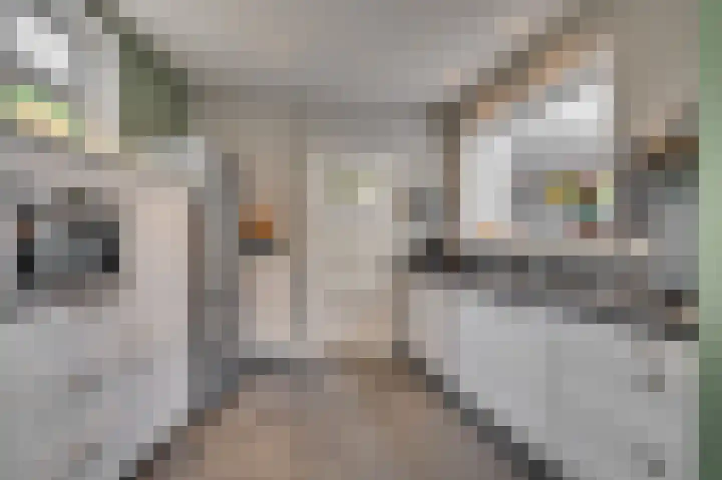 Pastoor Deckersstraat 1 Venlo thumbnail 21