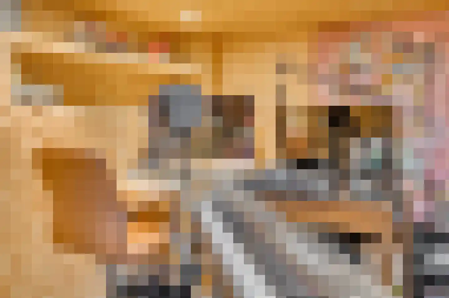 Pastoor Deckersstraat 1 Venlo thumbnail 51