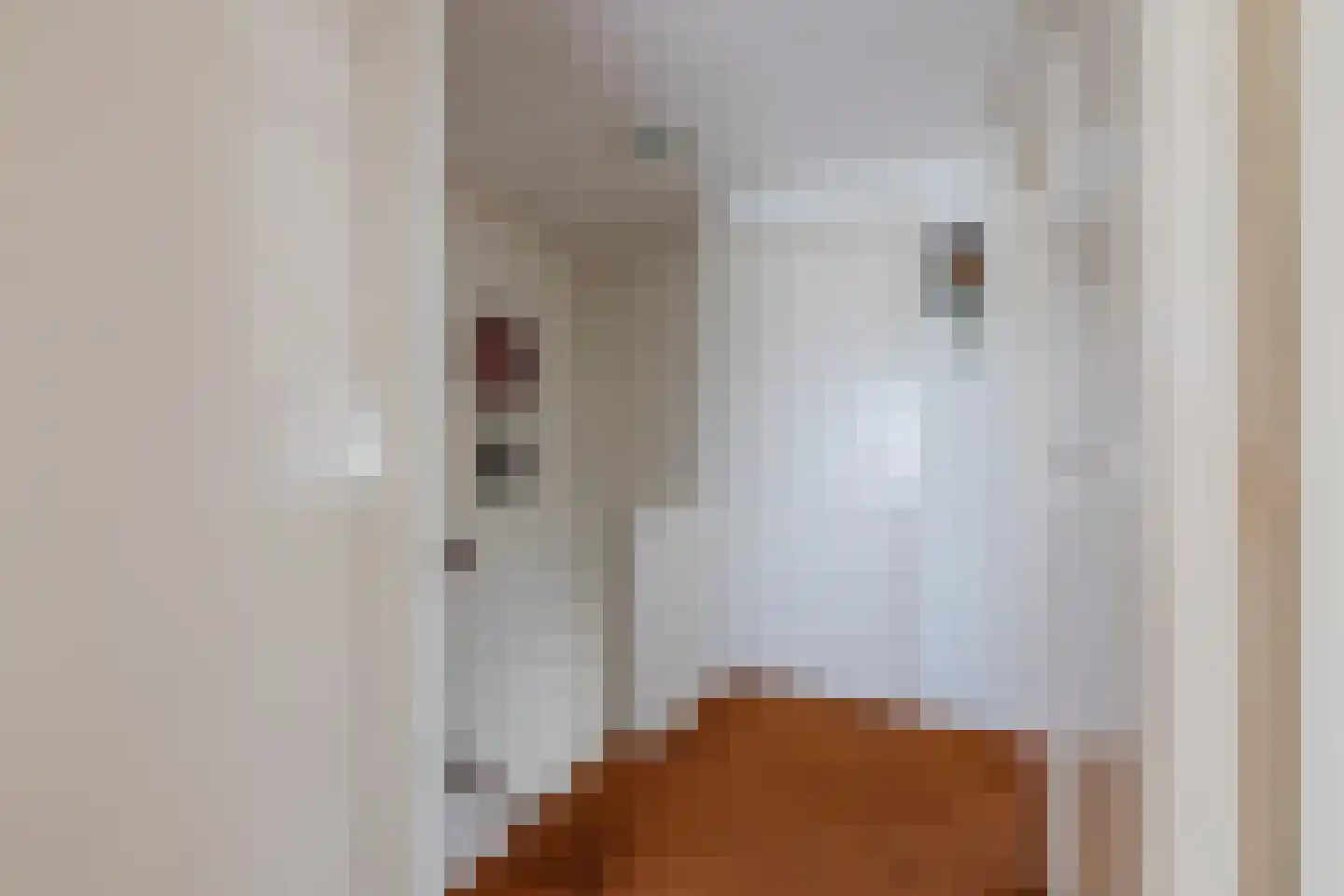 Pastoor Deperinkweg 13 Mariënvelde thumbnail 21