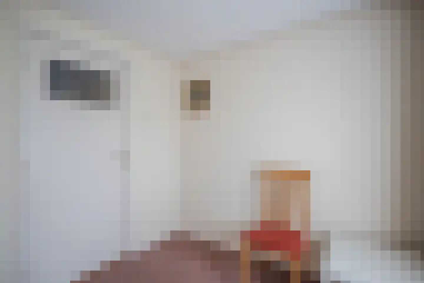 Pastoor Deperinkweg 13 Mariënvelde thumbnail 33