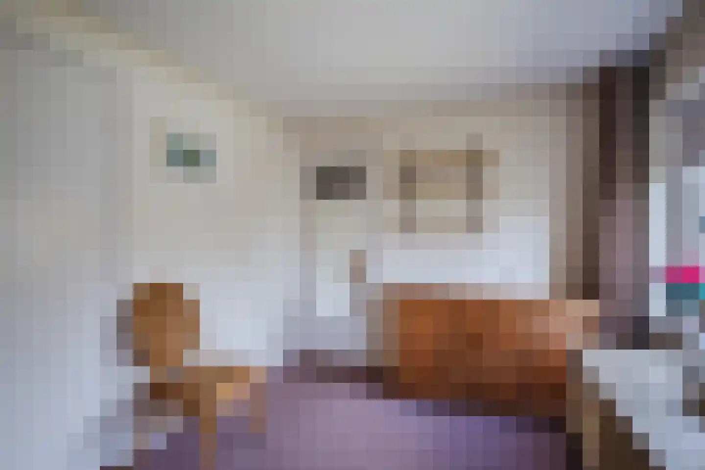 Pastoor Deperinkweg 13 Mariënvelde thumbnail 34