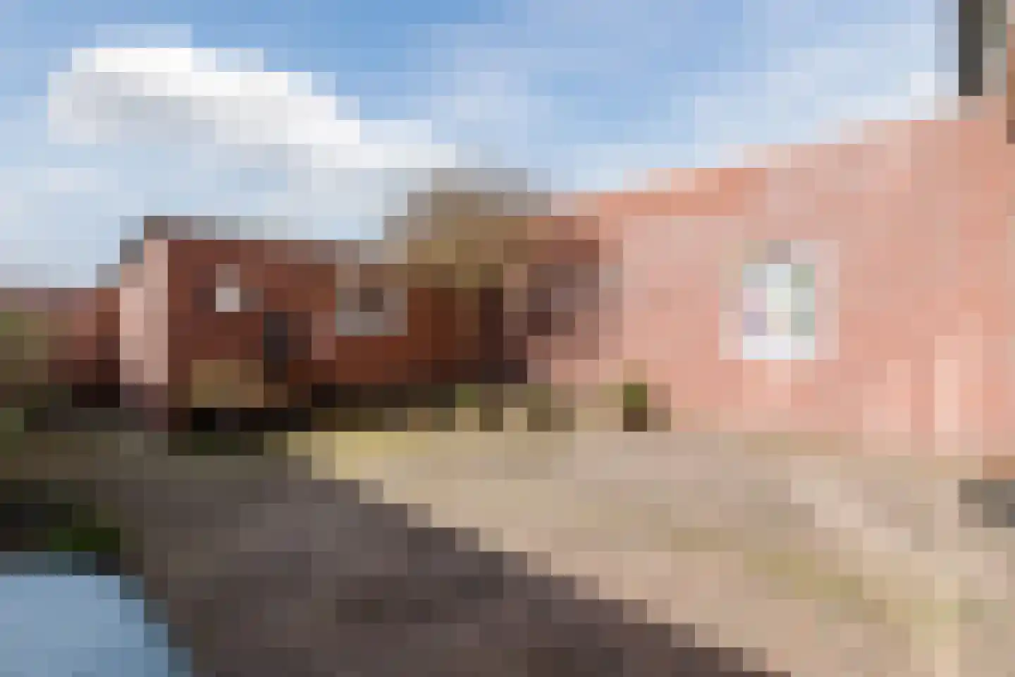 Pastoor Deperinkweg 13 Mariënvelde thumbnail 39