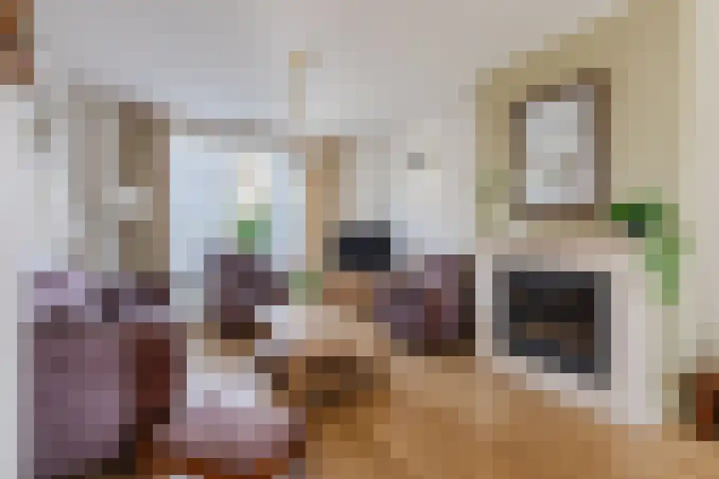 Pastoor Deperinkweg 13 Mariënvelde thumbnail 7
