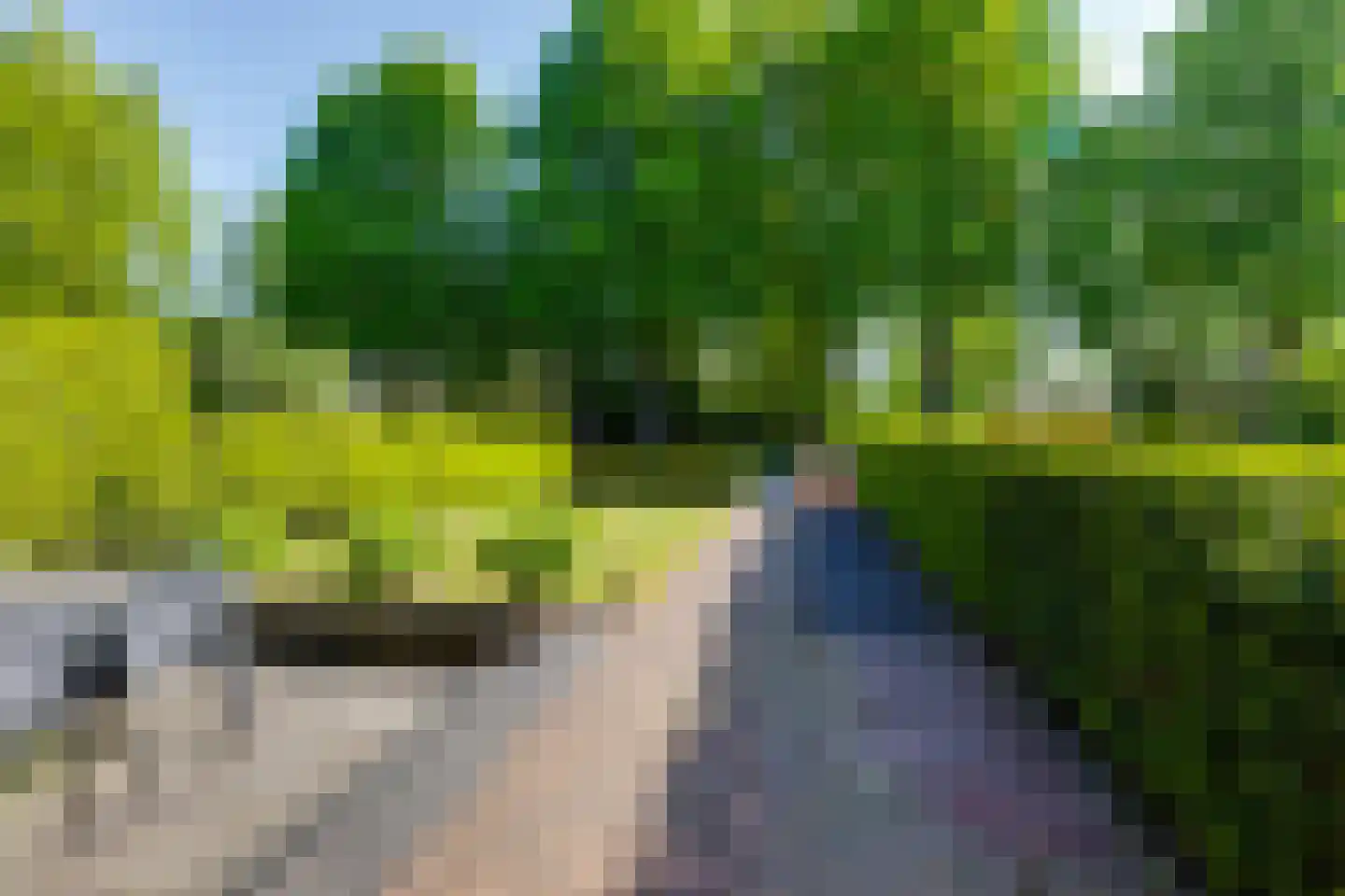 Pastoor Deperinkweg 15 Mariënvelde thumbnail 10