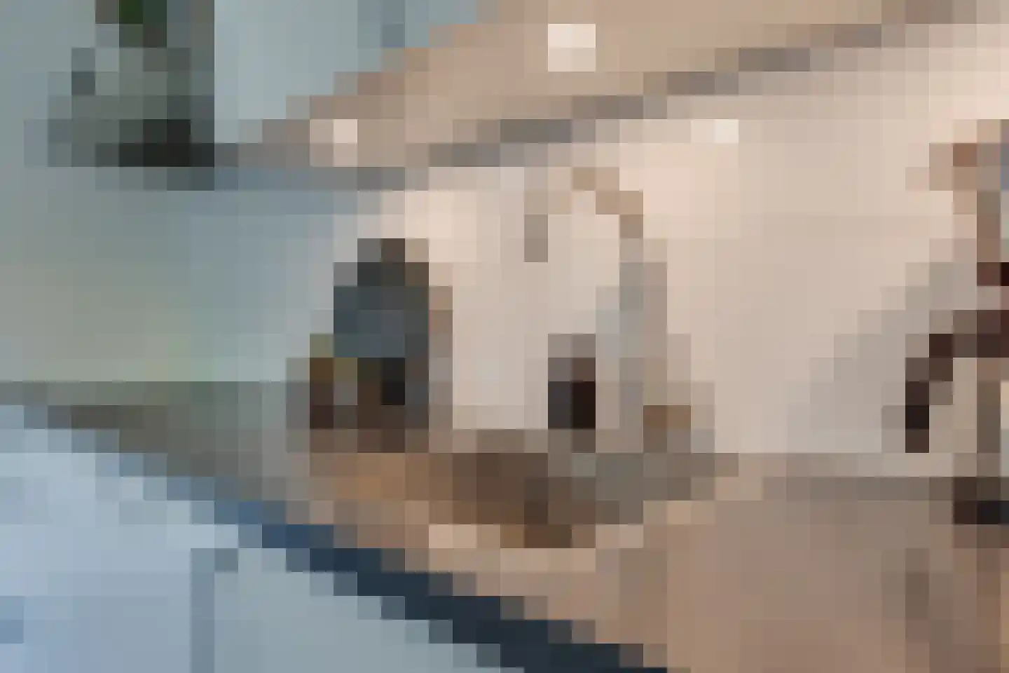 Pastoor Deperinkweg 15 Mariënvelde thumbnail 20
