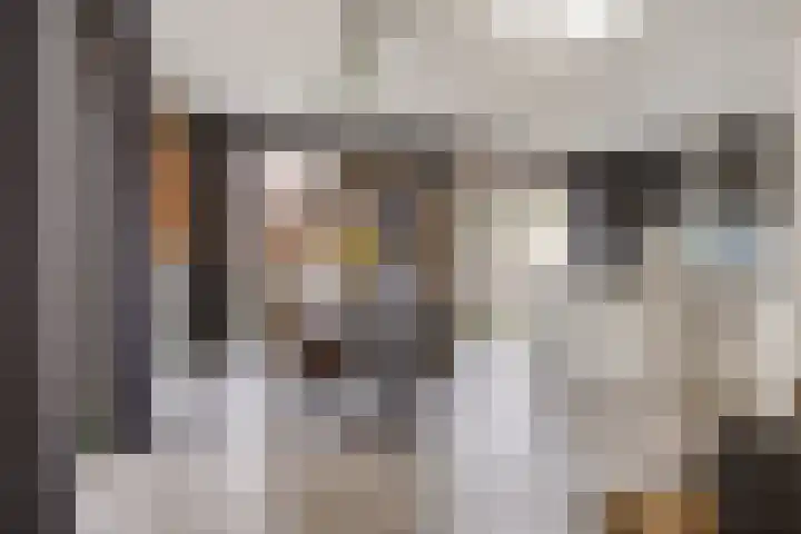 Pastoor Dijkmansstraat 8 Eindhoven thumbnail 14