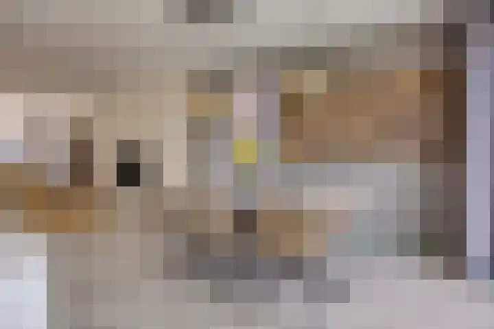 Pastoor Dijkmansstraat 8 Eindhoven thumbnail 15