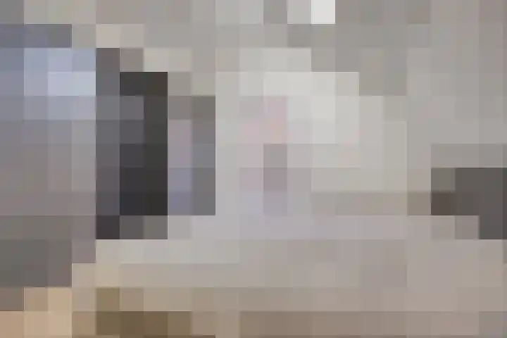 Pastoor Dijkmansstraat 8 Eindhoven thumbnail 27