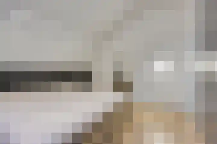Pastoor Dijkmansstraat 8 Eindhoven thumbnail 28