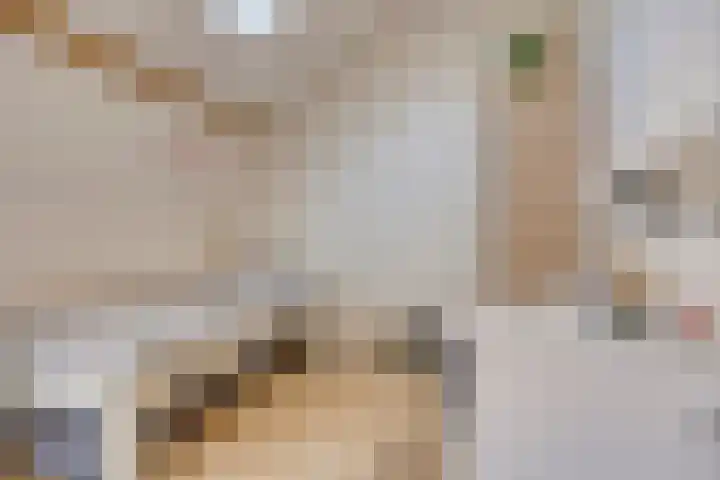 Pastoor Dijkmansstraat 8 Eindhoven thumbnail 37