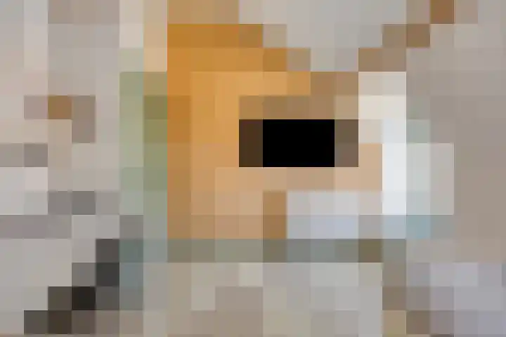 Pastoor Dijkmansstraat 8 Eindhoven thumbnail 38