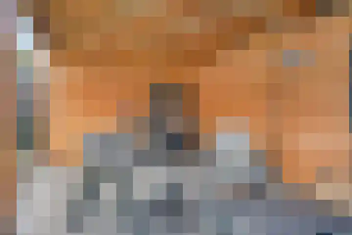 Pastoor Dijkmansstraat 8 Eindhoven thumbnail 45