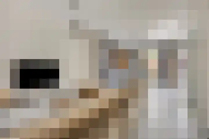 Pastoor Dijkmansstraat 8 Eindhoven thumbnail 9