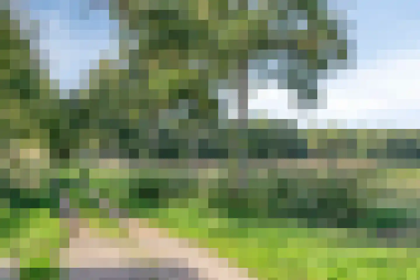 Pastoor Dobbelsteenstraat 7 Valkenswaard thumbnail 24