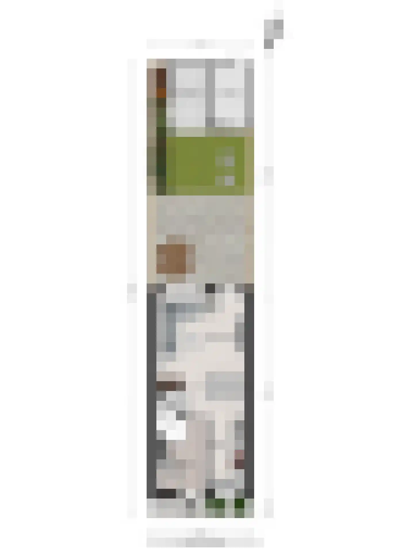 Pastoor Dobbelsteenstraat 7 Valkenswaard thumbnail 33