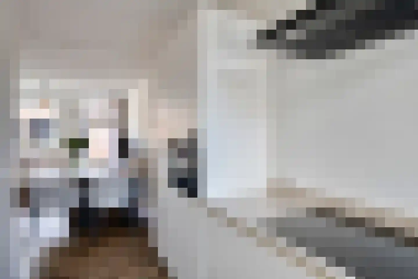 Pastoor Dobbelsteenstraat 7 Valkenswaard thumbnail 7