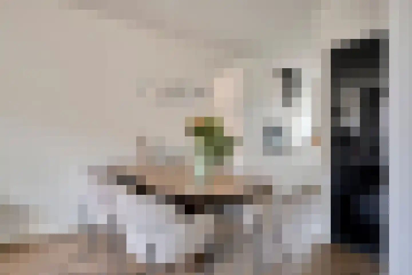 Pastoor Dobbelsteenstraat 7 Valkenswaard thumbnail 8
