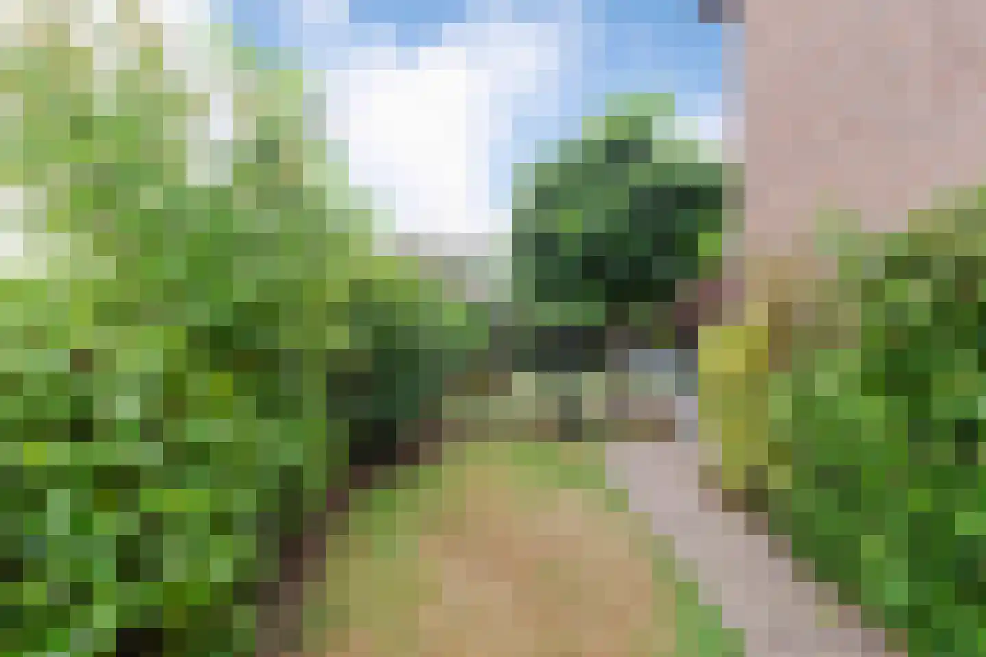 Pastoor Dominicus Hexstraat 13 Meerssen thumbnail 33