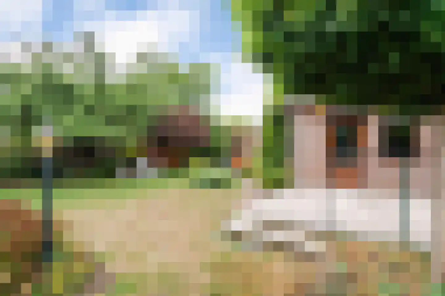 Pastoor Dominicus Hexstraat 13 Meerssen thumbnail 34